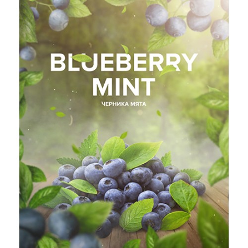Табак 4:20 Tea Line Blueberry Mint (Черника Мята) 125 гр.