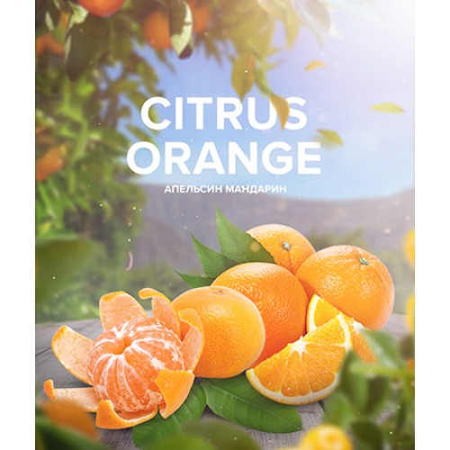 Тютюн 4:20 Tea Line Citrus Orange (Цитрус Апельсин) 125 гр.