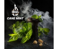 Табак Black Burn Cane Mint (Перечная Мята) 100 грамм