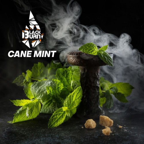 Тютюн Black Burn Cane Mint (Перцева М&#39;ята) 100 грам