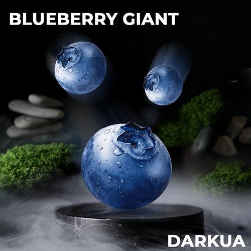 Табак DARKUA Blueberry Giant (Черника) 100 гр