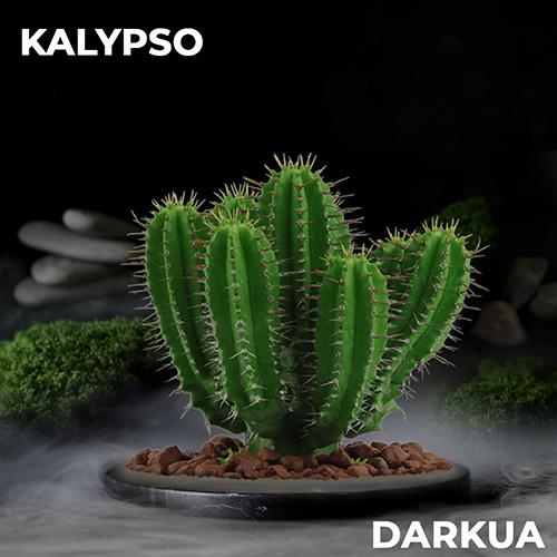 Тютюн DARKUA Kalypso (Кактус) 100 гр