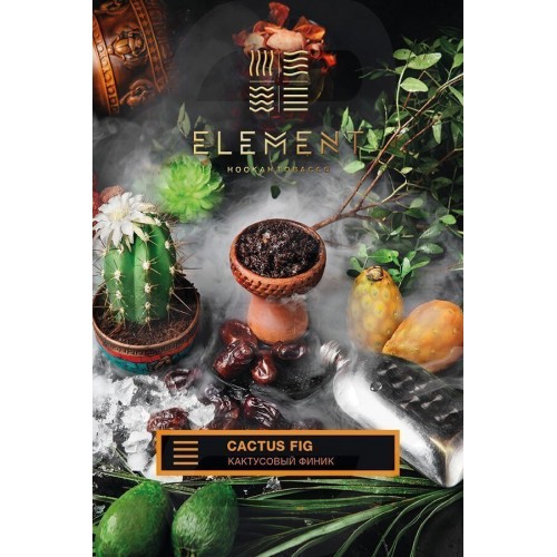 Тютюн для кальяну Element Earth Cactus Fig (Кактусовий Фінік, 100 г)