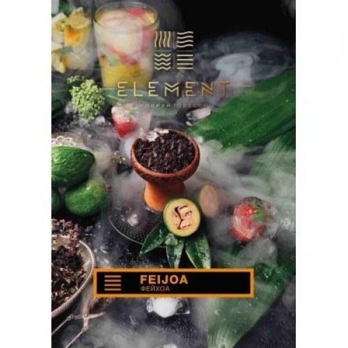 Тютюн для кальяну Element Earth Feijoa (Фейхоа, 100 г)