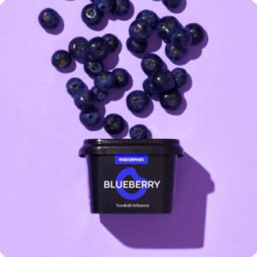 Тютюн Endorphin Blueberry (Чорниця) 125 гр