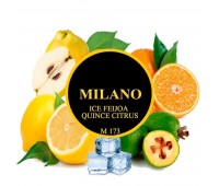 Тютюн Milano Ice Feijoa Quince Citrus M173 (Фейхоа Айва Цитрус Лід) 100 гр