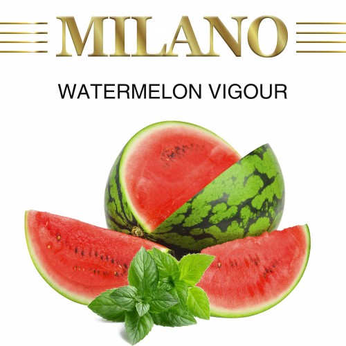 Табак Milano Watermelon Vigour M20 (Арбуз Мята) 100 гр
